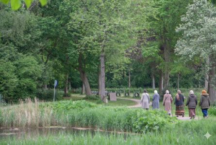 Wandelgroep voor vrouwen (Overdie)